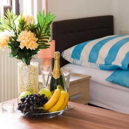 Puzic * Μπάνια Λούκα