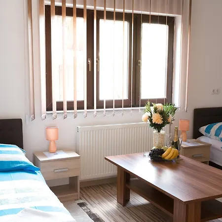 Puzic Πανσιόν Μπάνια Λούκα