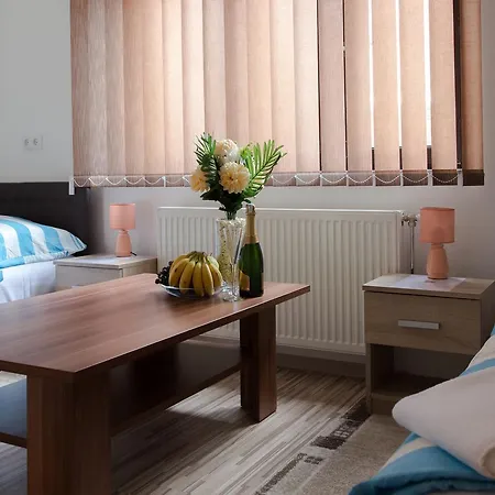 Puzic Guest house *